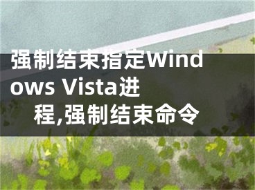 強(qiáng)制結(jié)束指定Windows Vista進(jìn)程,強(qiáng)制結(jié)束命令