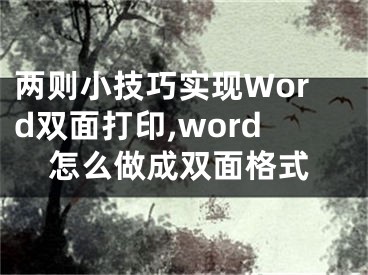 兩則小技巧實現(xiàn)Word雙面打印,word怎么做成雙面格式