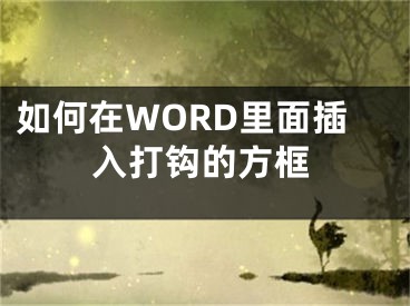 如何在WORD里面插入打鉤的方框