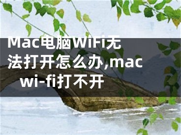 Mac電腦WiFi無法打開怎么辦,mac wi-fi打不開