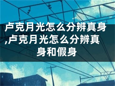 盧克月光怎么分辨真身,盧克月光怎么分辨真身和假身