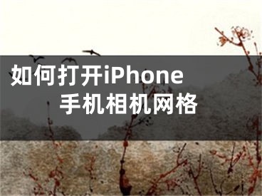 如何打開iPhone手機(jī)相機(jī)網(wǎng)格