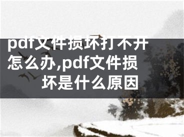 pdf文件損壞打不開(kāi)怎么辦,pdf文件損壞是什么原因