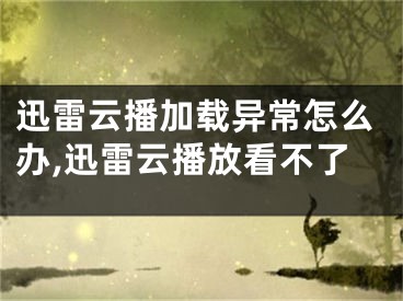 迅雷云播加載異常怎么辦,迅雷云播放看不了