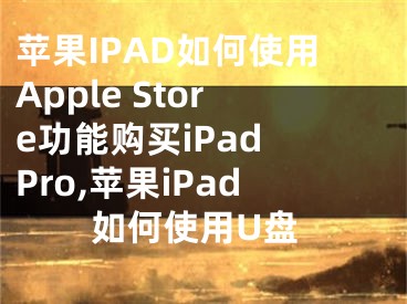 蘋果IPAD如何使用Apple Store功能購買iPad Pro,蘋果iPad如何使用U盤