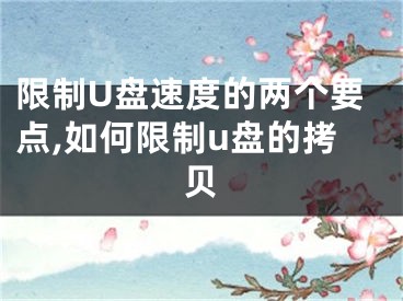 限制U盤速度的兩個要點,如何限制u盤的拷貝