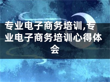 專業(yè)電子商務(wù)培訓(xùn),專業(yè)電子商務(wù)培訓(xùn)心得體會