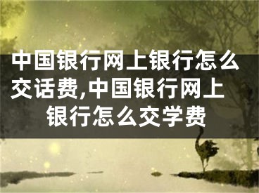 中國(guó)銀行網(wǎng)上銀行怎么交話費(fèi),中國(guó)銀行網(wǎng)上銀行怎么交學(xué)費(fèi)