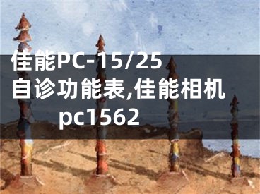 佳能PC-15/25自診功能表,佳能相機(jī)pc1562