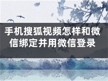 手機(jī)搜狐視頻怎樣和微信綁定并用微信登錄