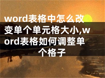 word表格中怎么改變單個單元格大小,word表格如何調(diào)整單個格子