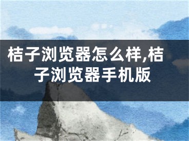 桔子瀏覽器怎么樣,桔子瀏覽器手機(jī)版