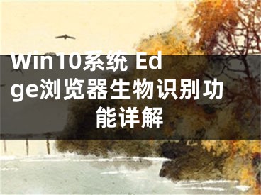 Win10系統(tǒng) Edge瀏覽器生物識別功能詳解