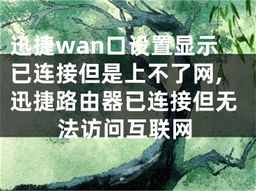 迅捷wan口設(shè)置顯示已連接但是上不了網(wǎng),迅捷路由器已連接但無法訪問互聯(lián)網(wǎng)