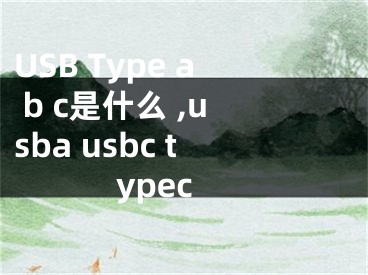 USB Type a b c是什么 ,usba usbc typec