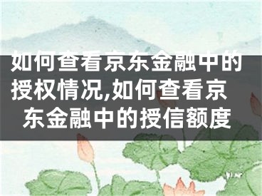 如何查看京東金融中的授權(quán)情況,如何查看京東金融中的授信額度