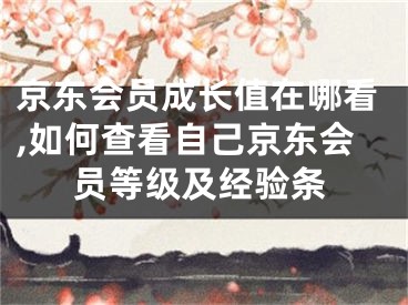 京東會員成長值在哪看,如何查看自己京東會員等級及經(jīng)驗(yàn)條