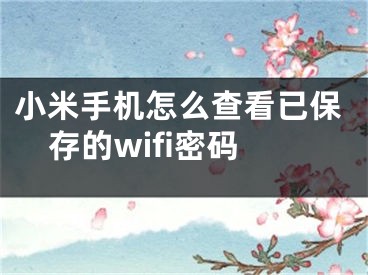 小米手機怎么查看已保存的wifi密碼