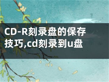 CD-R刻錄盤的保存技巧,cd刻錄到u盤