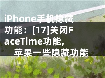 iPhone手機(jī)隱藏功能：[17]關(guān)閉FaceTime功能,蘋果一些隱藏功能