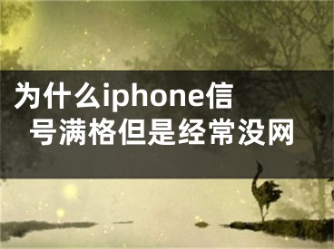 為什么iphone信號滿格但是經常沒網