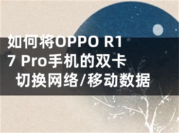 如何將OPPO R17 Pro手機(jī)的雙卡切換網(wǎng)絡(luò)/移動(dòng)數(shù)據(jù)