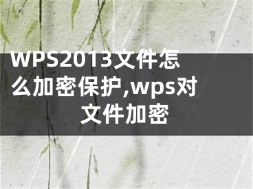 WPS2013文件怎么加密保護,wps對文件加密