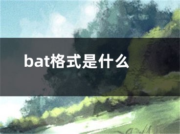 bat格式是什么