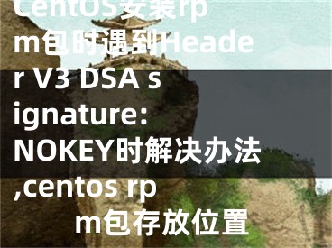 CentOS安裝rpm包時遇到Header V3 DSA signature: NOKEY時解決辦法,centos rpm包存放位置