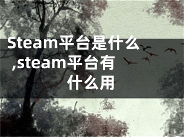 Steam平臺是什么 ,steam平臺有什么用