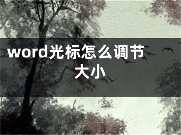 word光標(biāo)怎么調(diào)節(jié)大小