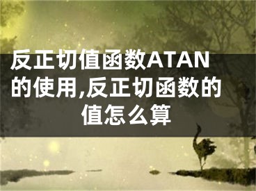 反正切值函數(shù)ATAN的使用,反正切函數(shù)的值怎么算