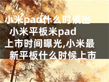 小米pad什么時(shí)候出  小米平板米pad上市時(shí)間曝光,小米最新平板什么時(shí)候上市