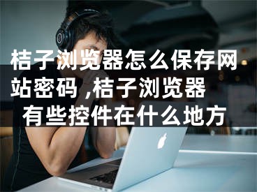 桔子瀏覽器怎么保存網(wǎng)站密碼 ,桔子瀏覽器有些控件在什么地方