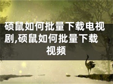 碩鼠如何批量下載電視劇,碩鼠如何批量下載視頻