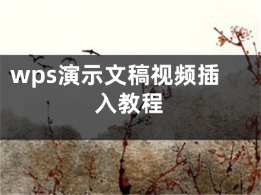 wps演示文稿視頻插入教程