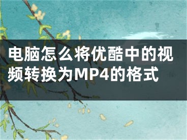 電腦怎么將優(yōu)酷中的視頻轉(zhuǎn)換為MP4的格式