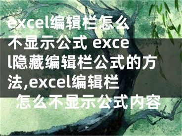 excel編輯欄怎么不顯示公式 excel隱藏編輯欄公式的方法,excel編輯欄怎么不顯示公式內(nèi)容