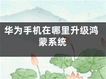 華為手機(jī)在哪里升級(jí)鴻蒙系統(tǒng)