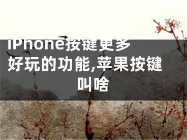 iPhone按鍵更多好玩的功能,蘋果按鍵叫啥