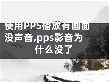 使用PPS播放有畫面沒(méi)聲音,pps影音為什么沒(méi)了