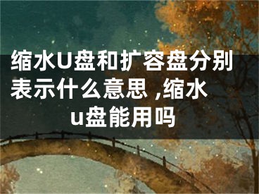 縮水U盤和擴容盤分別表示什么意思 ,縮水u盤能用嗎