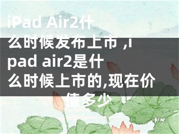 iPad Air2什么時候發(fā)布上市 ,ipad air2是什么時候上市的,現(xiàn)在價值多少