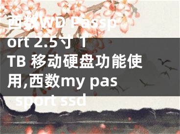 西數(shù)WD Passport 2.5寸 1TB 移動(dòng)硬盤功能使用,西數(shù)my passport ssd