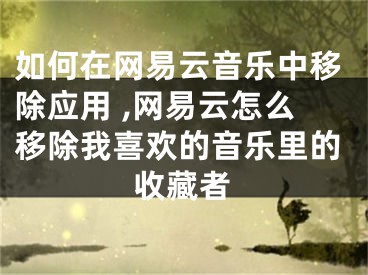 如何在網(wǎng)易云音樂(lè)中移除應(yīng)用 ,網(wǎng)易云怎么移除我喜歡的音樂(lè)里的收藏者