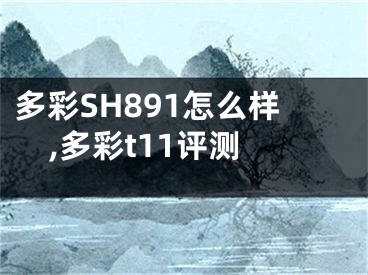 多彩SH891怎么樣,多彩t11評(píng)測(cè)