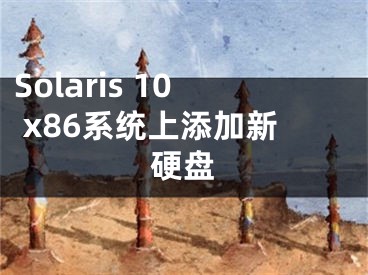 Solaris 10 x86系統(tǒng)上添加新硬盤(pán)