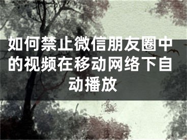 如何禁止微信朋友圈中的視頻在移動網(wǎng)絡(luò)下自動播放