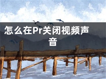 怎么在Pr關(guān)閉視頻聲音