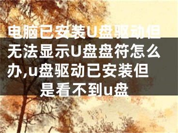 電腦已安裝U盤驅(qū)動(dòng)但無法顯示U盤盤符怎么辦,u盤驅(qū)動(dòng)已安裝但是看不到u盤